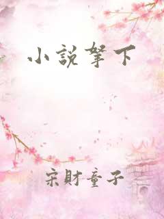 小说拿下