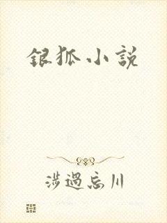 银狐小说