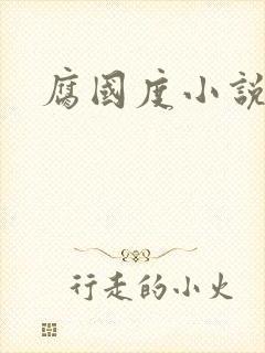 腐国度小说