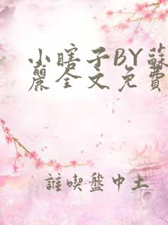 小瞎子BY苏玛丽全文免费笔趣阁