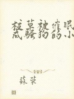 校草被催眠洗脑成骚狗的小说