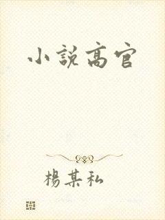 小说高官