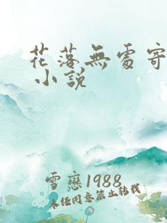 花落无处寄相思 小说