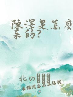 陈泽是怎么火起来的?