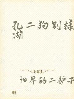 孔二狗别样的江湖