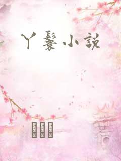 丫鬟小说