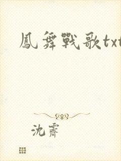 凤舞战歌txt