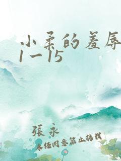 小柔的羞辱日记1一15