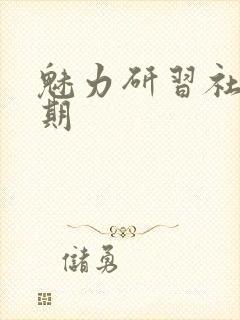 魅力研习社43期