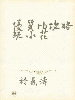 优质rb攻略系统小花