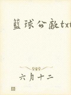 篮球公敌txt