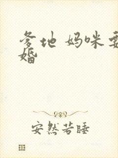 爹地 妈咪要逃婚