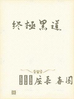 终极黑道
