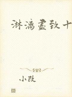 淋漓尽致十二章