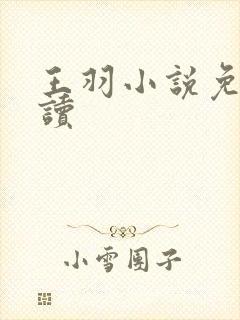 王羽小说免费阅读