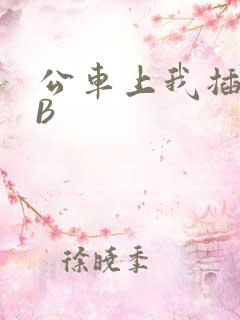 公车上我插上骚B