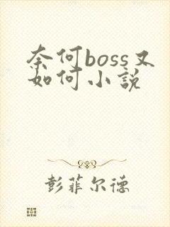 奈何boss又如何小说