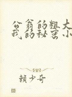 公翁的粗大放进我的秘密小说