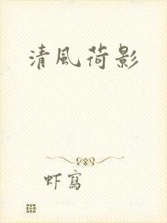 清风荷影