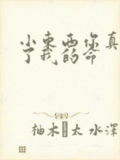 小东西你真能要了我的命