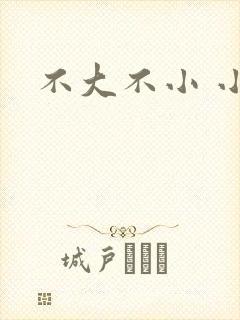 不大不小 小说