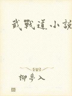武战道小说