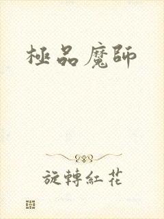 极品魔师