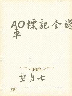 AO标记全过程车