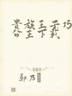 贵族王子巧遇穷公主下载