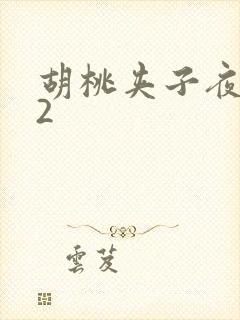 胡桃夹子夜未眠2