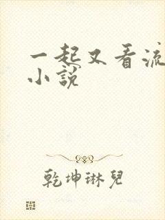 一起又看流星雨小说