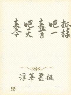 来吧来吧抓紧点今天有一样好东西