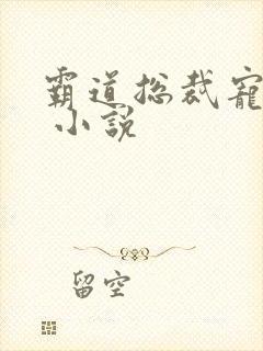 霸道总裁宠上天 小说