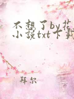 不想了by花卷小说txt下载
