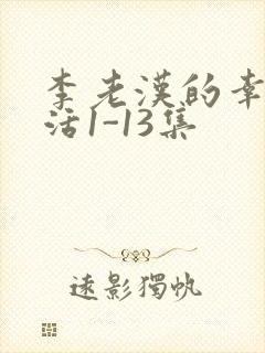 李老汉的幸福生活1-13集