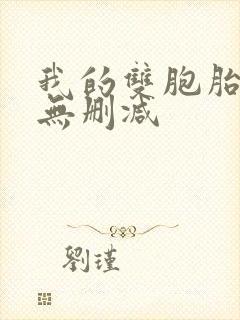 我的双胞胎老婆无删减