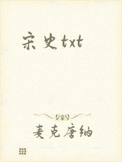 宋史txt