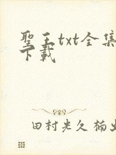 圣王txt全集下载