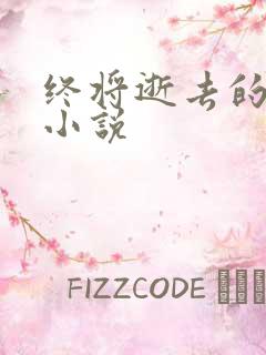 终将逝去的青春小说