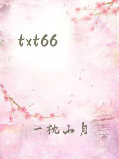 txt66