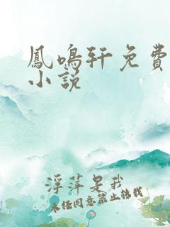 凤鸣轩免费言情小说