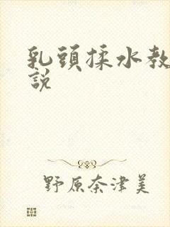 乳头揉水教室小说