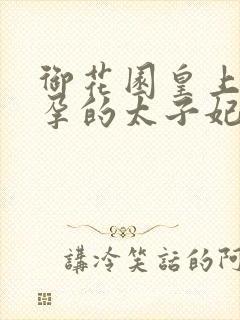 御花园皇上c有孕的太子妃