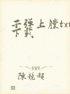 子弹上膛txt下载