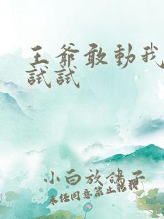 王爷敢动我妈咪试试