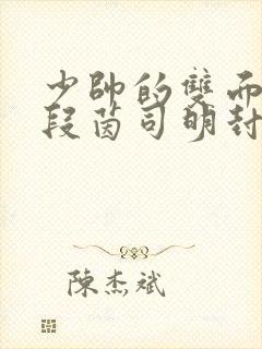 少帅的双面宠妻段茵司明封免费