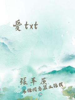 爱txt