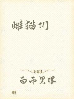 雌猫们