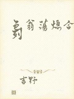 色翁荡熄合集系列