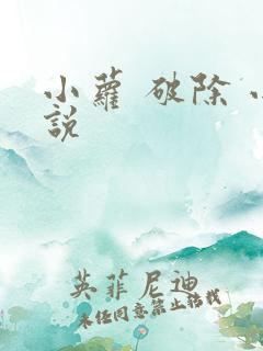 小萝 破除 小说